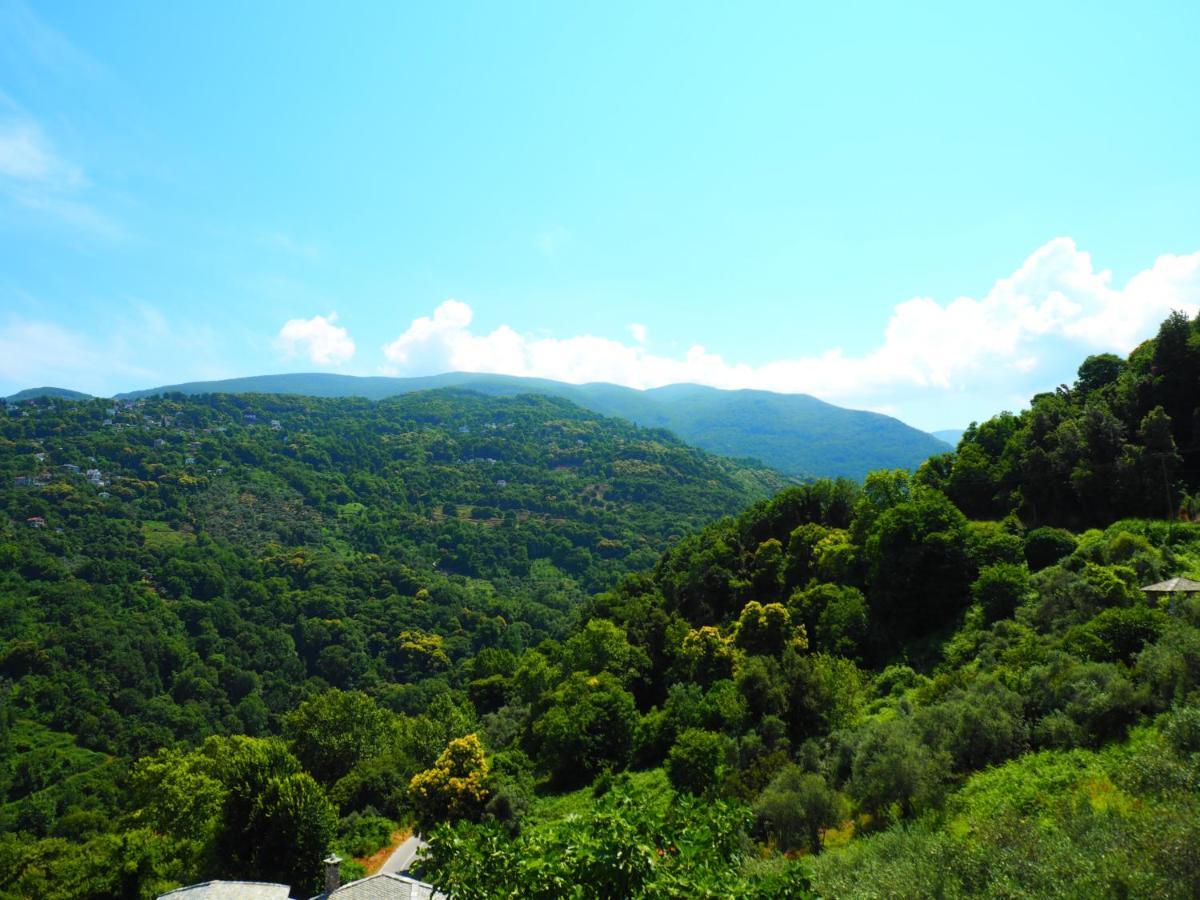 Felitsia Apartments & Studios Agios Ioannis  Dış mekan fotoğraf