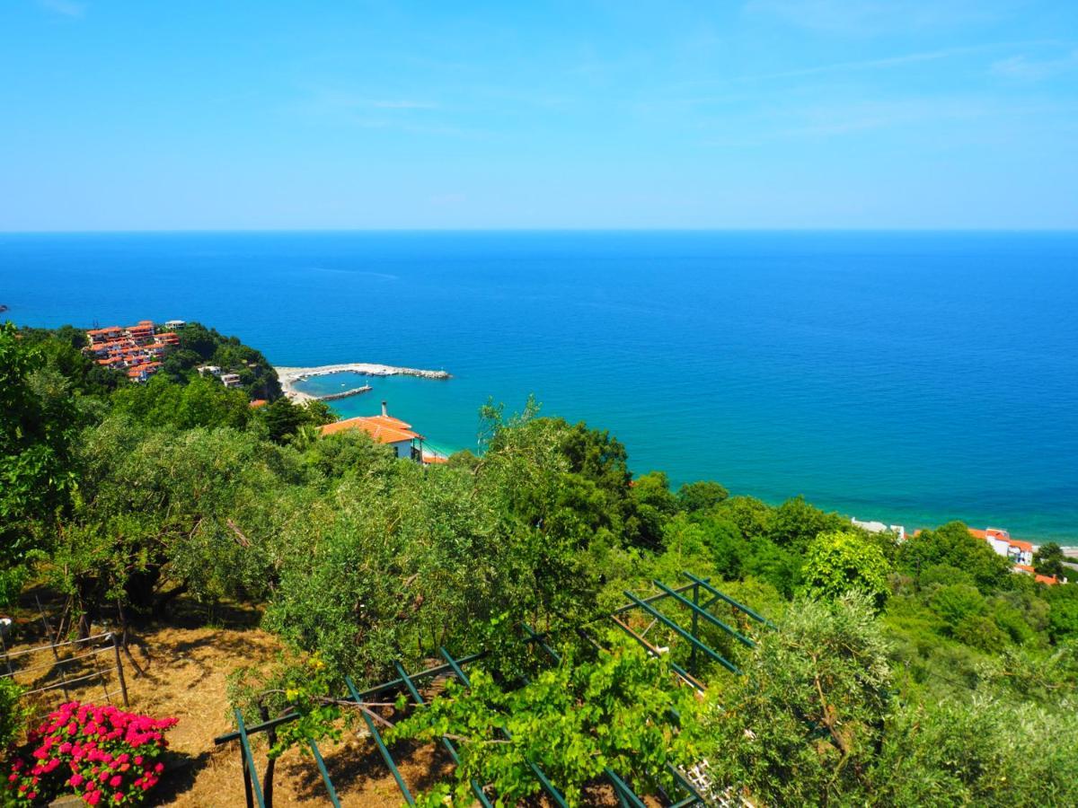 Felitsia Apartments & Studios Agios Ioannis  Dış mekan fotoğraf