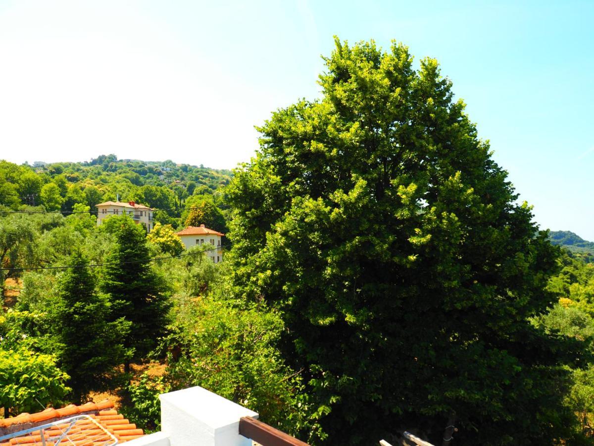 Felitsia Apartments & Studios Agios Ioannis  Dış mekan fotoğraf
