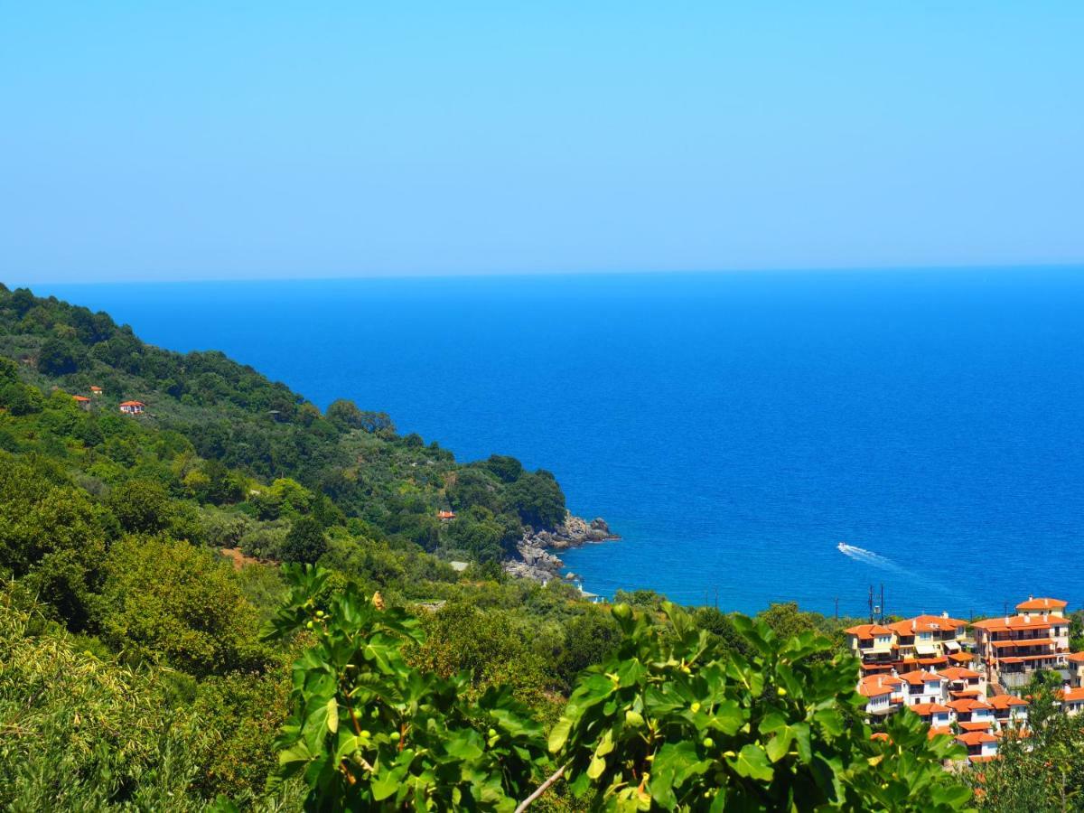Felitsia Apartments & Studios Agios Ioannis  Dış mekan fotoğraf