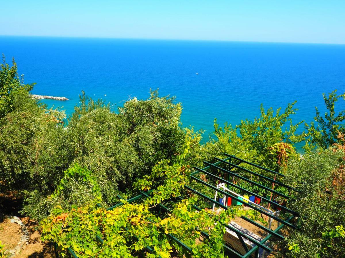 Felitsia Apartments & Studios Agios Ioannis  Dış mekan fotoğraf